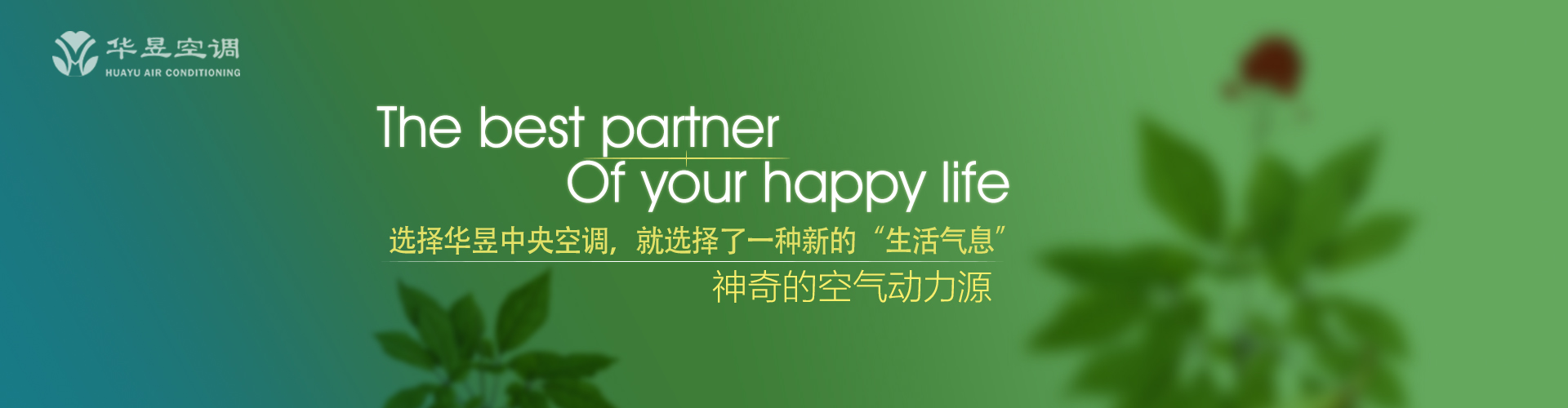 龟龙麟凤网